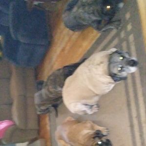 Meet your Posher, Sally